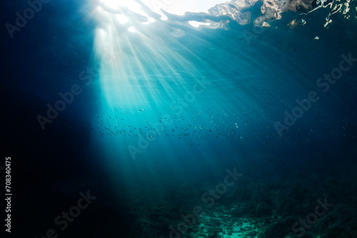 minorca underwater scenery mediterranean fish oblada jellyfish coris julis donzella movement nursery moss plant rock cave love form formation © STPhoto
