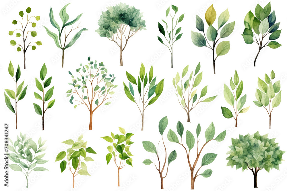 Watercolor greenery set. Illustrations of twigs and tree plants. Watercolor greenery set. Illustrations of twigs and tree plants.