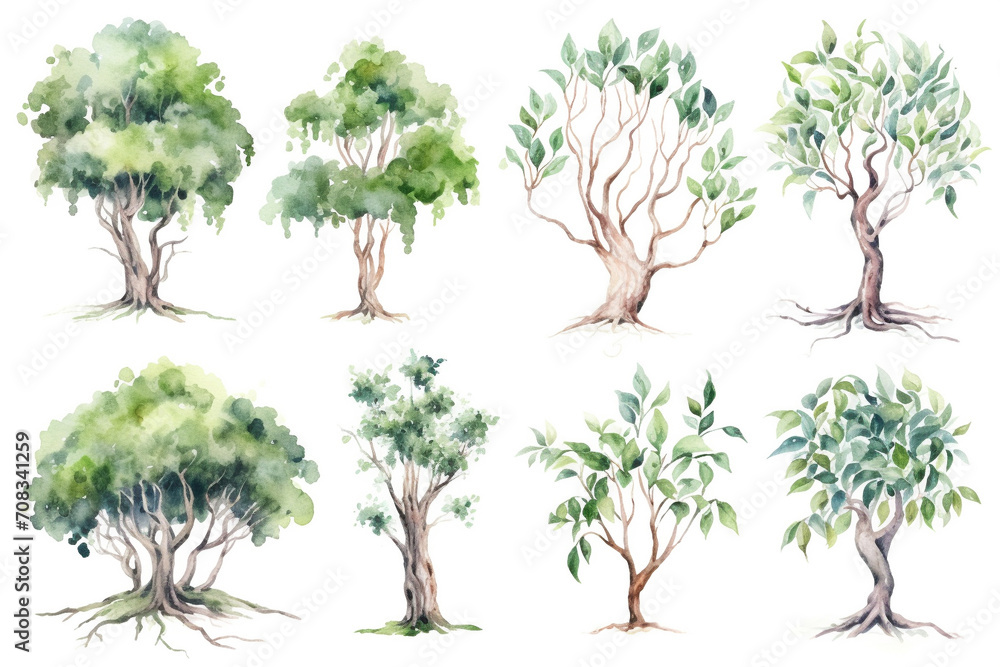 Watercolor greenery set. Illustrations of twigs and tree  plants. 