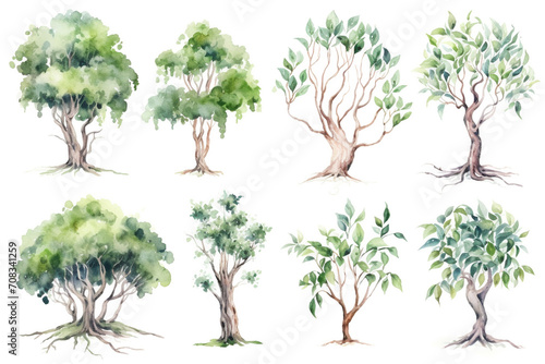 Watercolor greenery set. Illustrations of twigs and tree plants. 