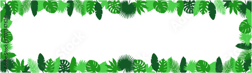 green jungle plants exotic. Tropical leaves banner, Nature frame with banana and monstera foliage, forest coconut palm, posters with flat elements. 