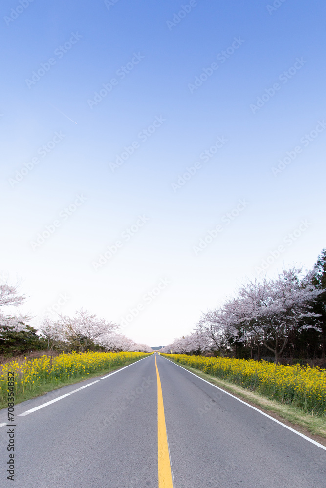 Fototapeta premium 길