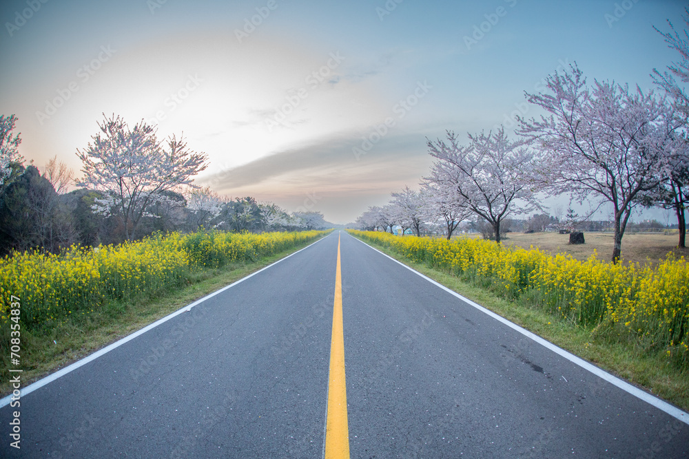 Fototapeta premium 길