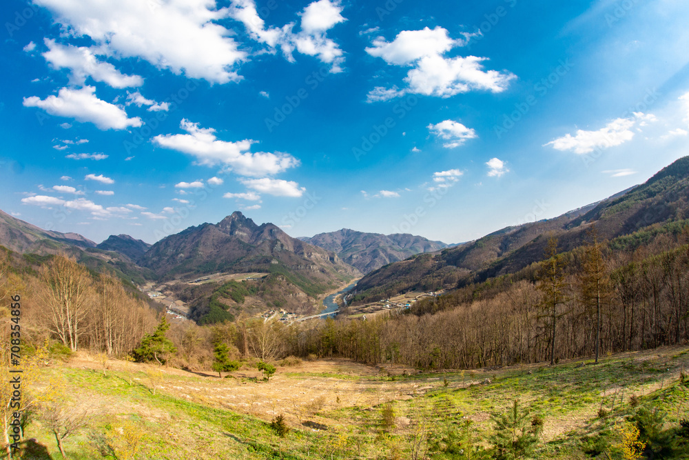 Fototapeta premium 자연