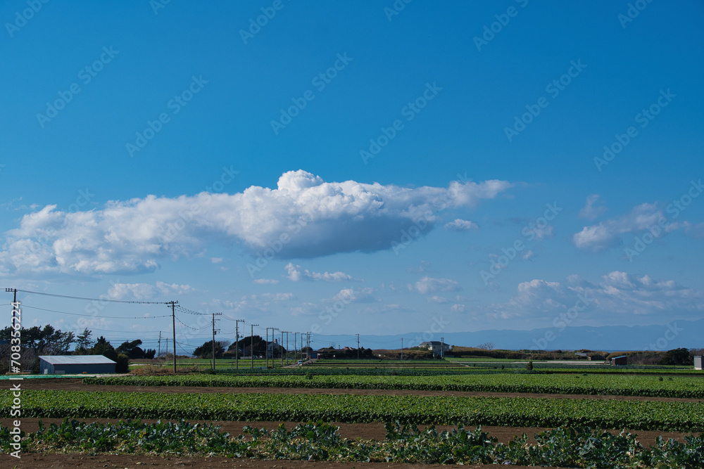 神奈川県三浦の田舎の風景