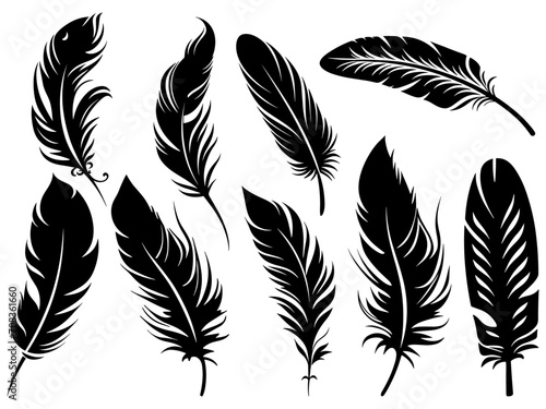 Set of detailed majestic feather collection. Bird Feather black silhouettes. Plumelet collection. Vector isolated on white photo