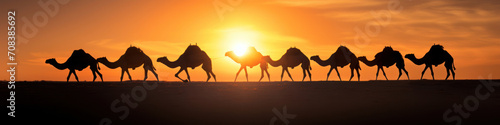 A line of camels traversing the desert, their silhouettes against the dunes creating an iconic image