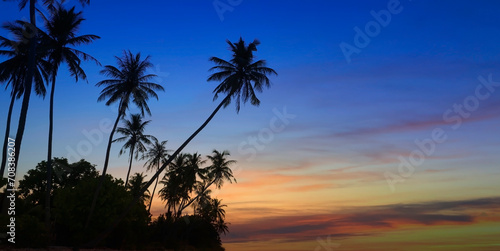 Fototapeta Naklejka Na Ścianę i Meble -  Banner Summer with colorful theme as palm trees background as texture frame background