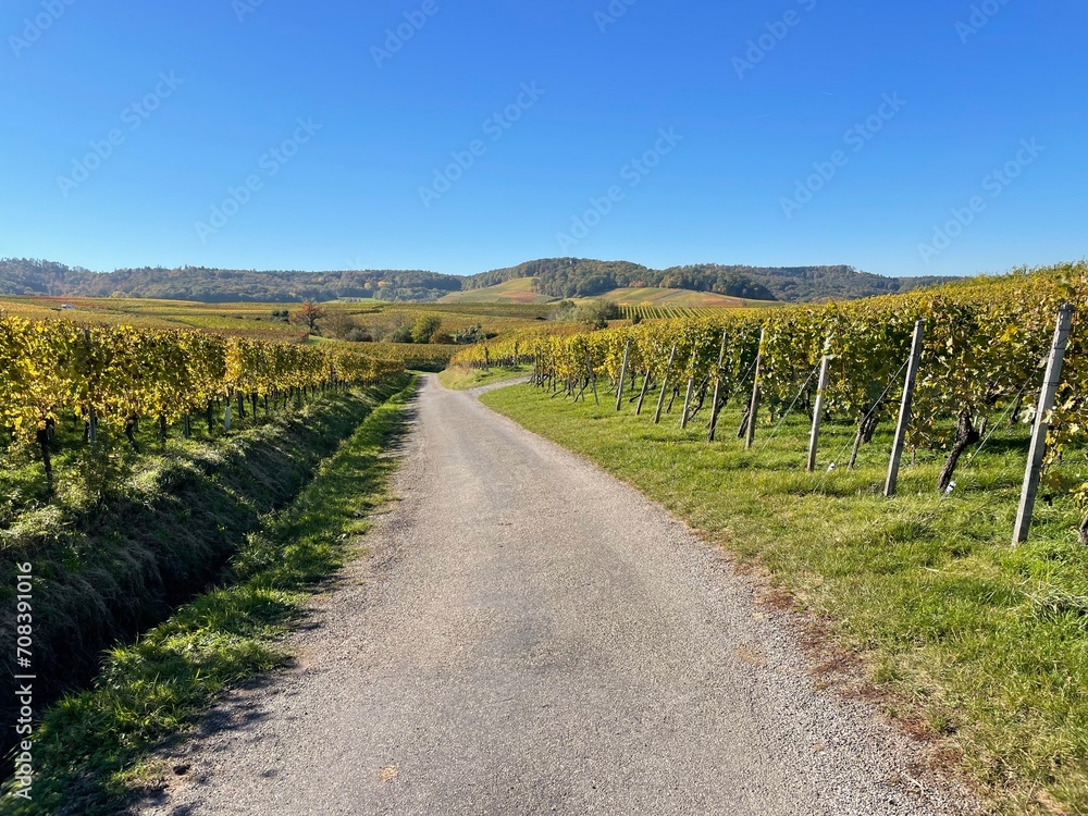 Nature, autumn, sun, idyll, paradise, peace, wine, field, sunset, sky, colors, landscape, agriculture, vineyard, harvest, mountain, hills, valleys, view, panorama, path, right path, landscape idyll