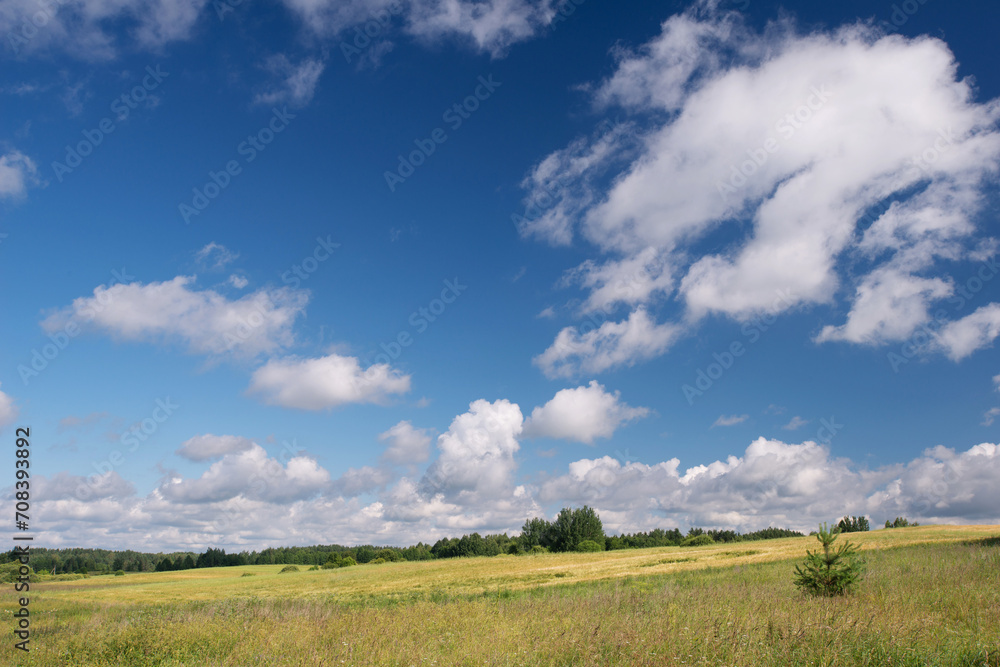 Village landscape on a summer sunny day