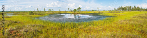Fotografie Sphagnum bog Yelnya in Belarus