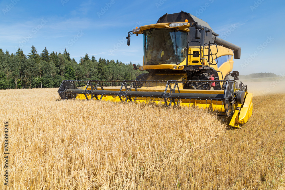 Fototapeta premium Harvesting with combines