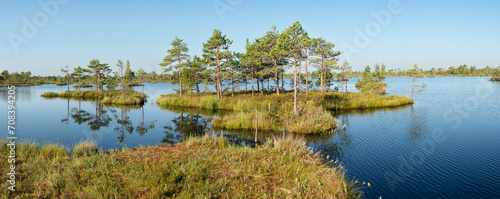 Sphagnum bog Yelnya in Belarus