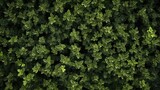 Green moss background. Created with Ai