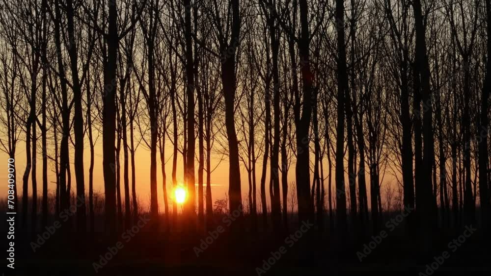 Sunset Po Valley Italy landscape sun sky fields color Sunset Po Valley Italy landscape sun sky fields color