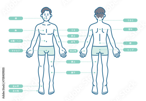 男性の脱毛部位名