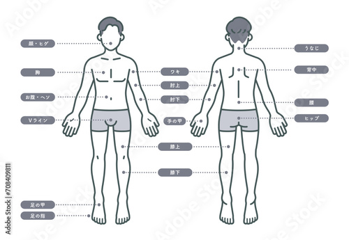男性の脱毛部位名
