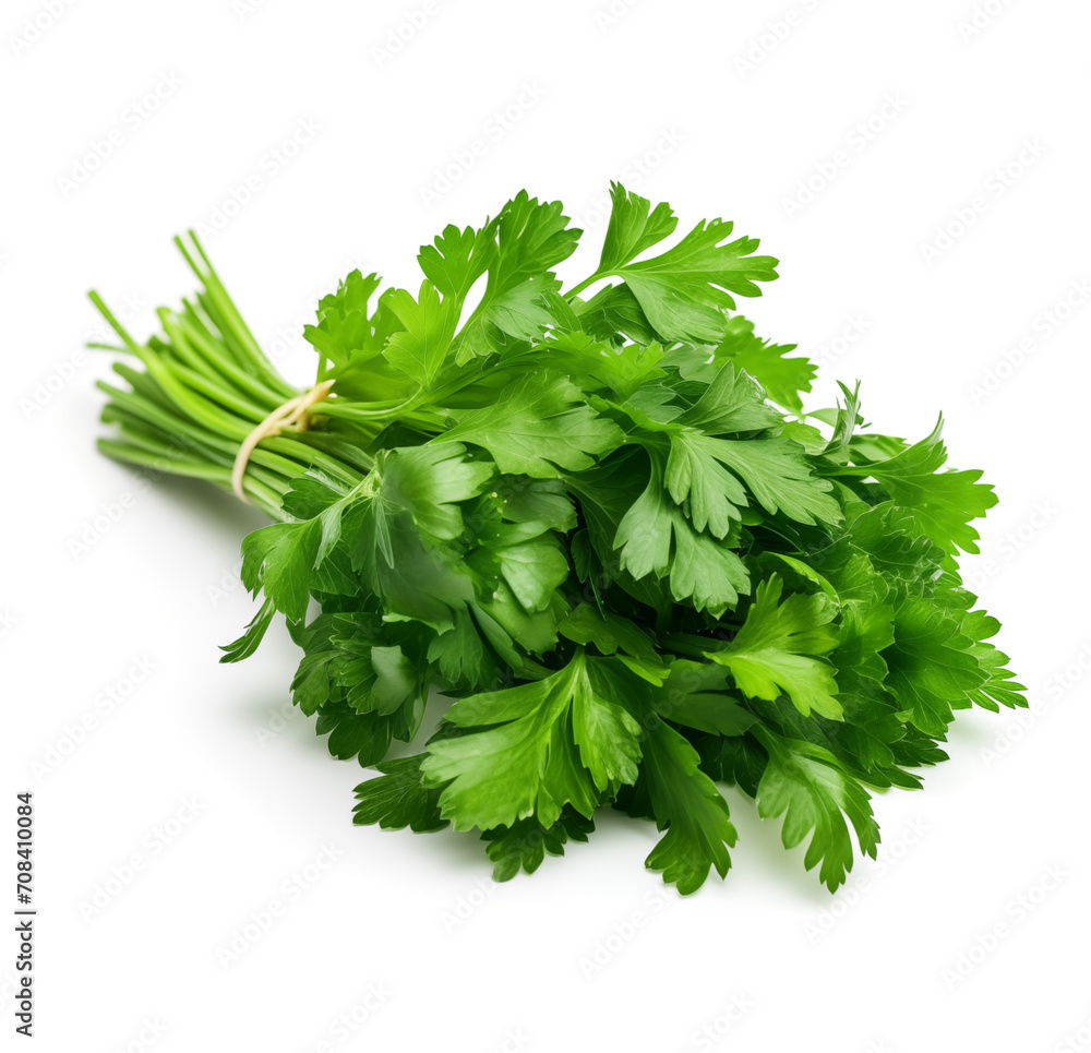 Fototapeta premium Parsley on white background