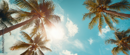 Looking up to the blue sky win sun behind the palm trees