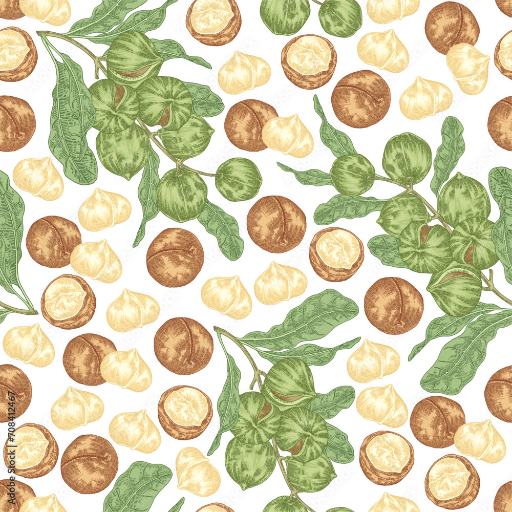 Macadamia seamless pattern. Hand drawn Macadamia nuts and leaves. Vector illustration hand drawn. Macadamia seamless pattern. Hand drawn Macadamia nuts and leaves. Vector illustration hand drawn.