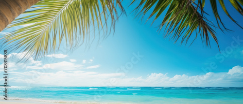 Paradise beach with palm trees and blue sky