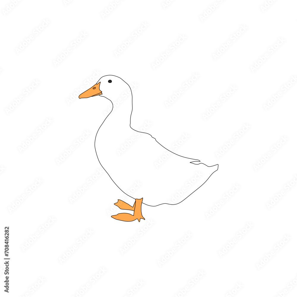 Fototapeta premium duck facing forward