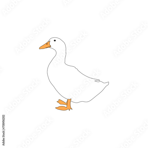 duck facing forward