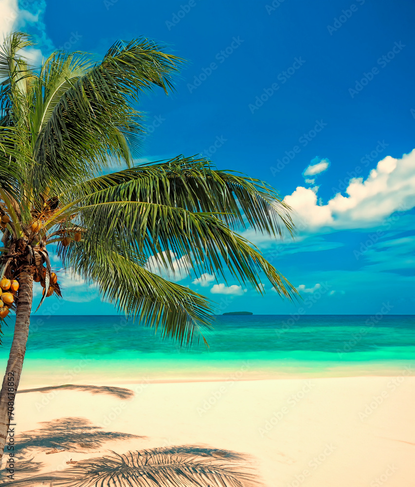 Tropical beach with coconut tree on the beach shore