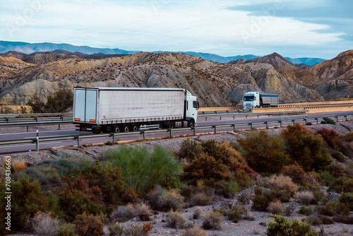 A white cargo truck on a motorway through the desert is going to meet a dump truck transporting aggregates and mineral stones with a blue tarpaulin. Vegetation. Transport and logistics.
