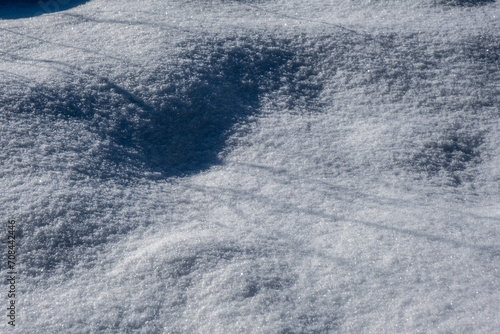 abstract bits of nature in winter snow