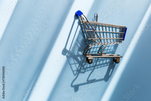 Shopping cart