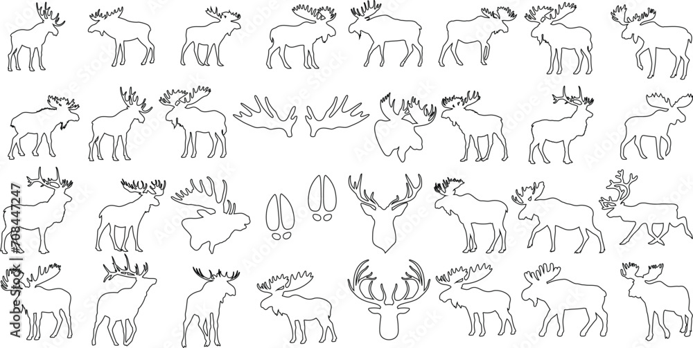 Moose, vector illustration collection, various poses of moose, activities, perfect for web graphics, banners, templates. Detailed, scalable, editable moose drawings