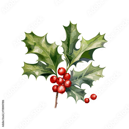 watercolor holly plant flower clipart for graphic resources