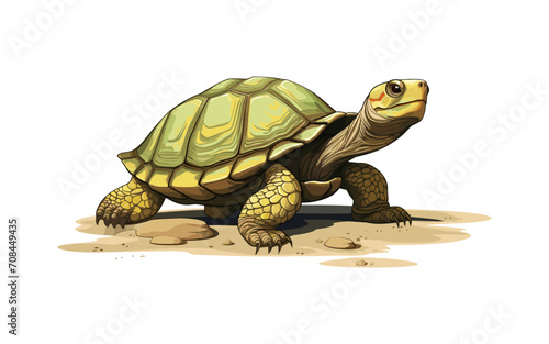 Turtle isolated vector style on isolated background illustration