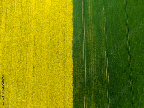 Aerial view of yellow and green fields