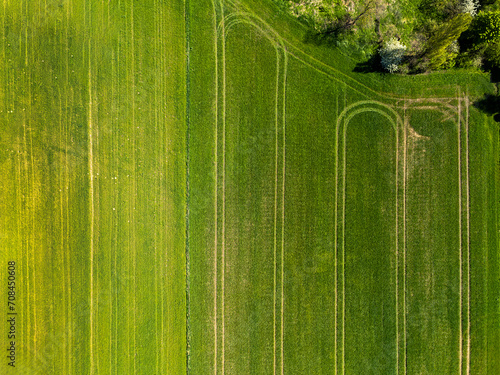 Top view of green field