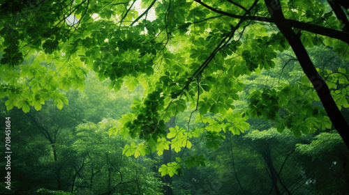 Immerse yourself in the lush green forest, where leaves dance in the summer breeze, creating a mesmerizing texture of various shades of green.