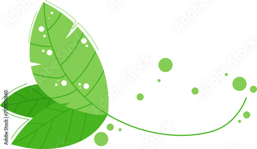Green leaves with dew drops on a white background. Fresh foliage with water droplets nature concept. Eco and springtime vector illustration.