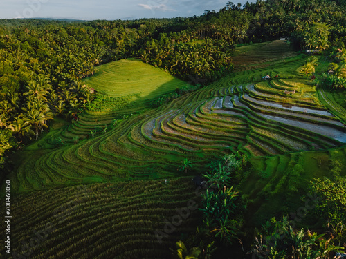 Aerial view of landscape with rice terraces  sunrise tones and shadows. Countryside in Bali island
