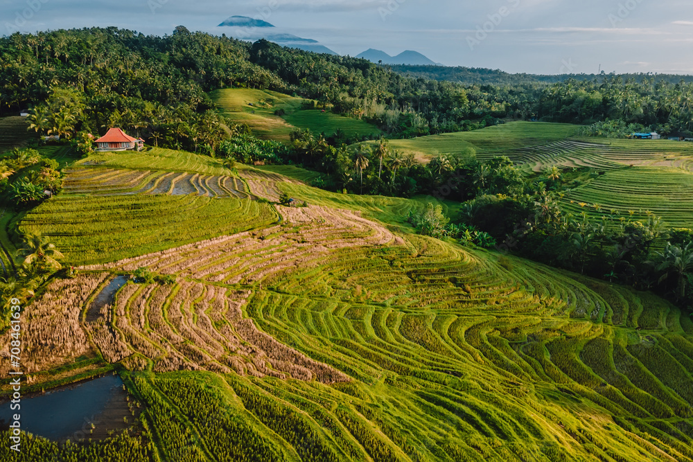 Aerial view of landscape with rice terraces, sunrise tones and shadows. Countryside in Bali island
