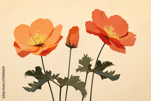 Vibrant Floral Beauty: Blooming Red Poppies in a Summer Meadow, Embracing Nature's Fragility and Decorative Design, Set against a Green Background with White Flowers.