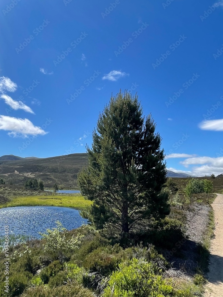 Obraz premium On a Scottish Highlands' trail.
