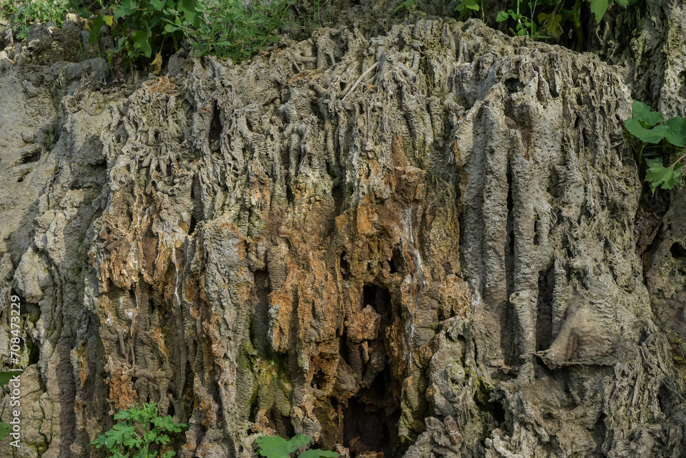 Rock cliff background, fossil rock, aquascape background material, paludarium