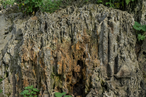 Rock cliff background, fossil rock, aquascape background material, paludarium