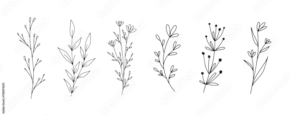Set of botanical line art floral leaves, plants. Hand drawn sketch branches isolated on white background. Vector illustration	 - obrazy, fototapety, plakaty 