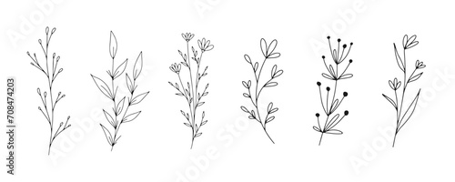 Set of botanical line art floral leaves, plants. Hand drawn sketch branches isolated on white background. Vector illustration	 photo