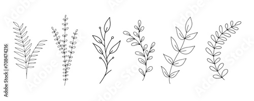 Set of botanical line art floral leaves, plants. Hand drawn sketch branches isolated on white background. Vector illustration	