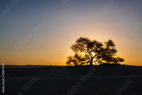 Canvas Print View of tree of life, Bahrain at dawn