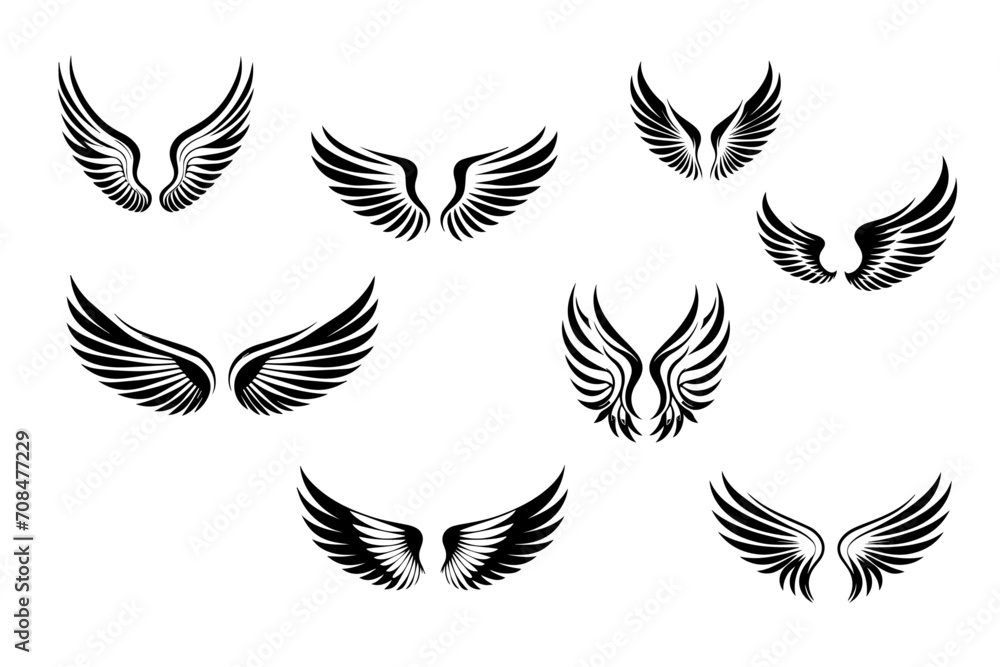 collection of wings vector illustration design