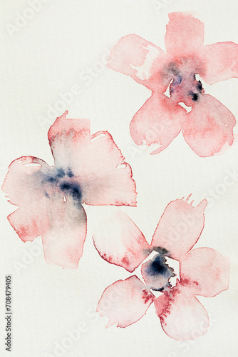 Pink flowers on a white background.  Watercolor paint photo